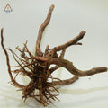 Alborz Wood - ALA