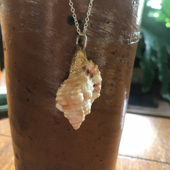Apple Murex Artisan Made Pendant Handcrafted Peach Sea Shell Necklace 1.25 in x 1 in
