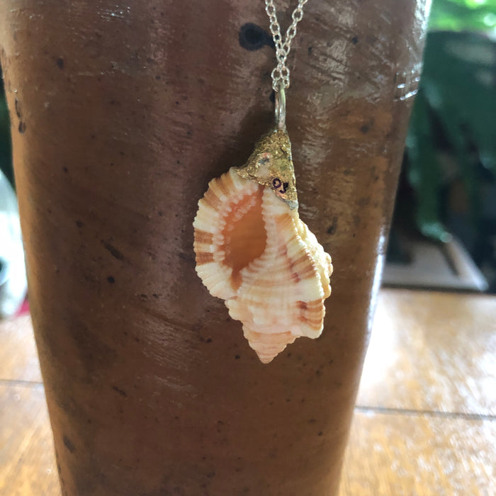 Apple Murex Artisan Made Pendant Handcrafted Peach Sea Shell Necklace 1.25 in x 1 in