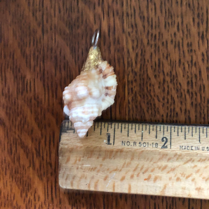 Apple Murex Artisan Made Pendant Handcrafted Peach Sea Shell Necklace 1.25 in x 1 in