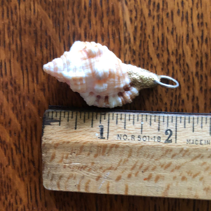 Apple Murex Artisan Made Pendant Handcrafted Peach Sea Shell Necklace 1.25 in x 1 in