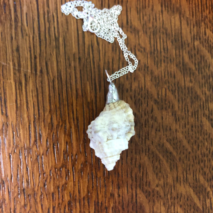 Apple Murex Artisan Made Pendant Handcrafted Sea Shell Necklace 1.75 in x 1 in