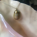 Atlantic Yellow Cowry Artisan Made Pendant Handcrafted Sea Shell Necklace 3/4 in x 1 in