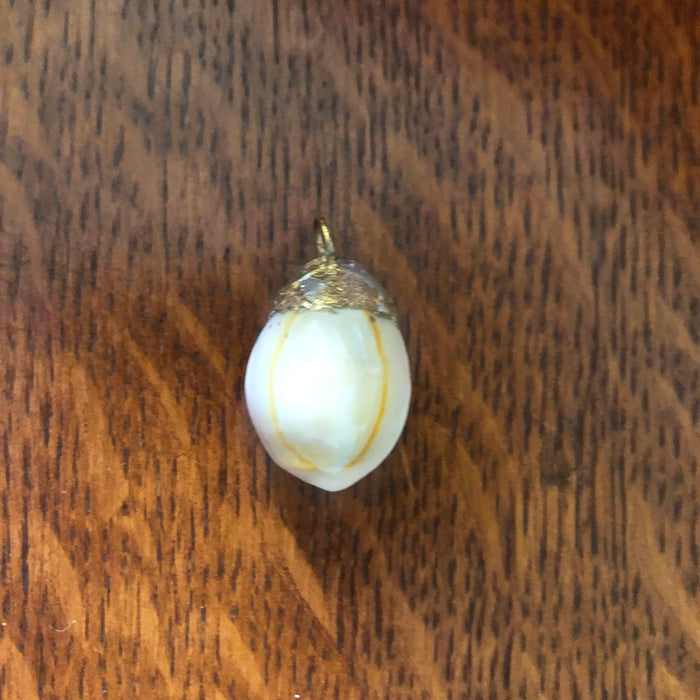 Atlantic Yellow Cowry Artisan Made Pendant Handcrafted Sea Shell Necklace 3/4 in x 1 in