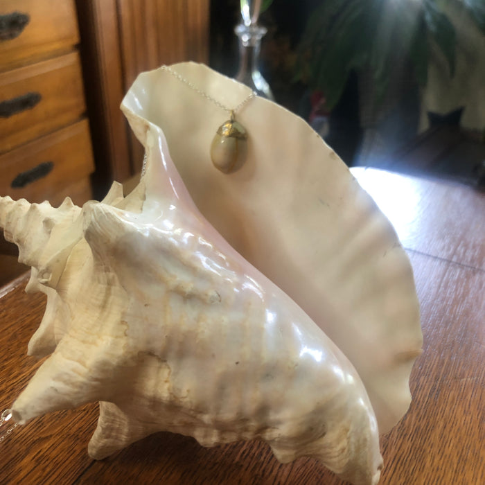 Atlantic Yellow Cowry Artisan Made Pendant Handcrafted Sea Shell Necklace 3/4 in x 1 in