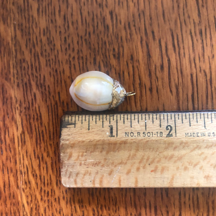 Atlantic Yellow Cowry Artisan Made Pendant Handcrafted Sea Shell Necklace 3/4 in x 1 in