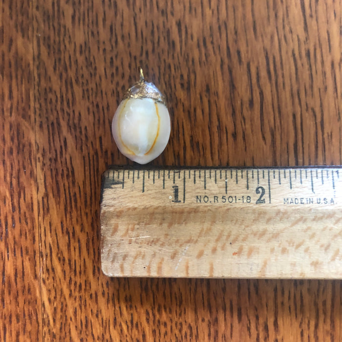 Atlantic Yellow Cowry Artisan Made Pendant Handcrafted Sea Shell Necklace 3/4 in x 1 in