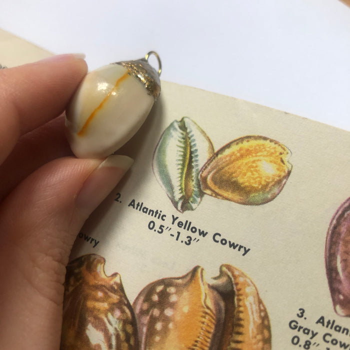 Atlantic Yellow Cowry Artisan Made Pendant Handcrafted Sea Shell Necklace 3/4 in x 1 in