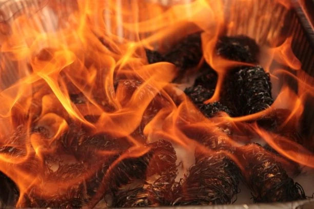 Burning wood wool firelighters igniting fire in a fireplace for home heating