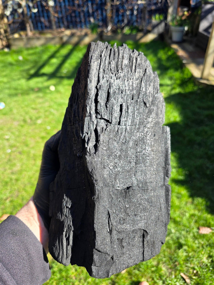 Charcoal pieces in open bag with green grass background, outdoor setting