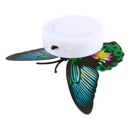 Butterfly  LED Night Light - EK CHIC HOME