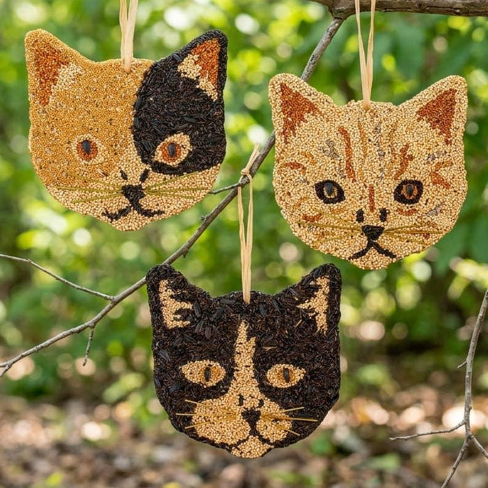 Cat Cookies
