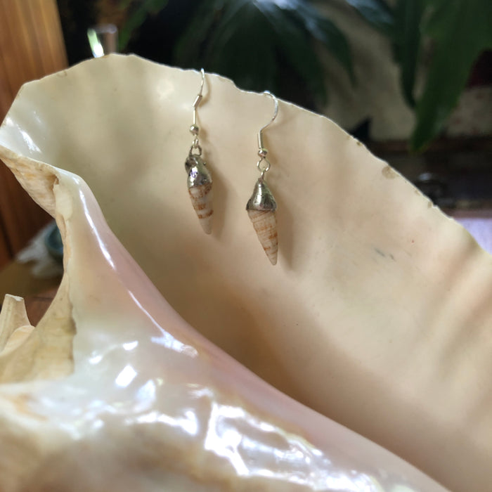 Cerith Shell Artisan Made Earrings Handcrafted Sea Shell Dangle Earrings