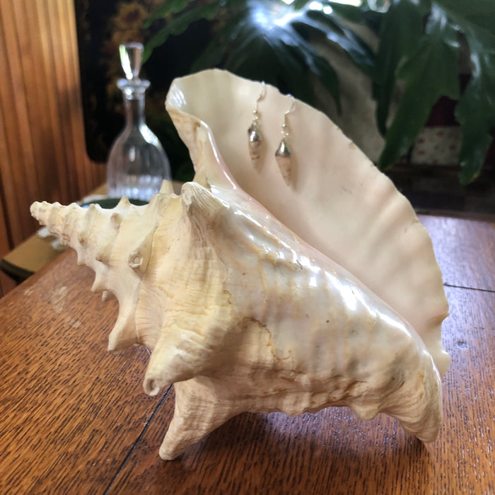 Cerith Shell Artisan Made Earrings Handcrafted Sea Shell Dangle Earrings