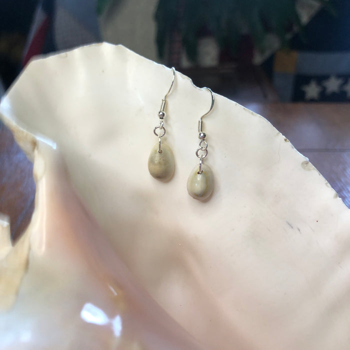 Cowry Artisan Made Earrings Handcrafted Sea Shell Dangle Earrings