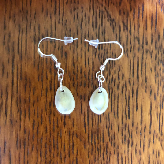 Cowry Artisan Made Earrings Handcrafted Sea Shell Dangle Earrings