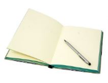 Discovery Journal