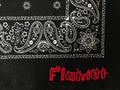 Embroidered Bandana