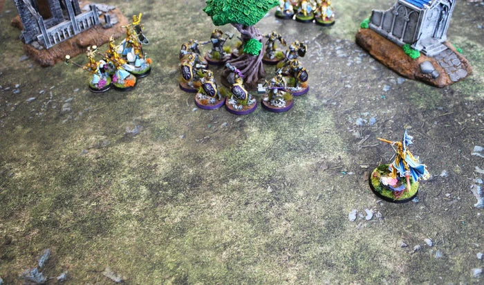 Field of Battle | Neoprene Battle Mat with Bag | Baron of Dice
