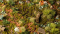 Gamers Grass | Grass Tuft | Dry Green (2mm)