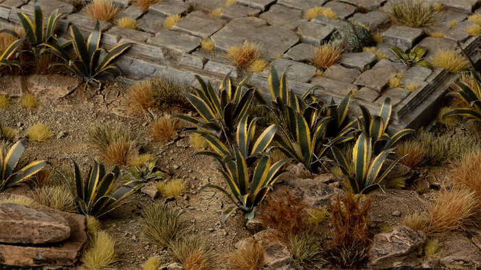 Gamers Grass | Laser Plants | Agave