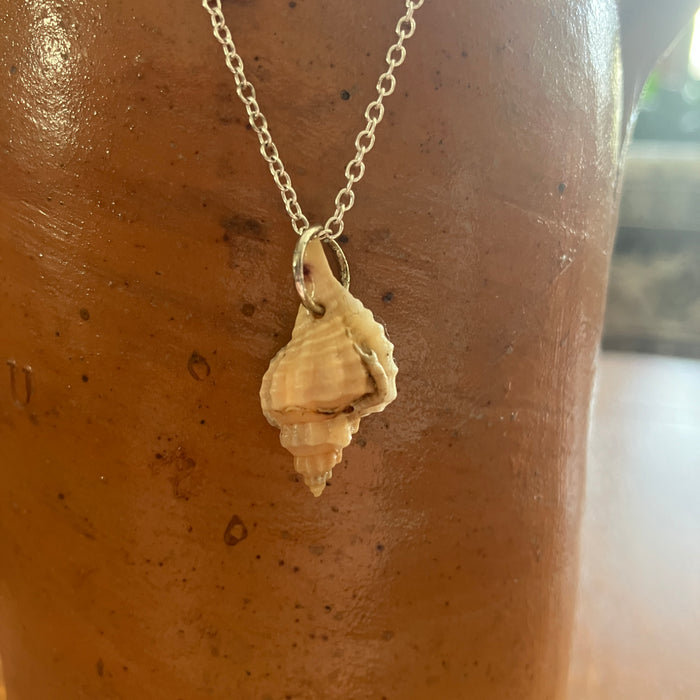 Handcrafted Sea Shell Pendant Necklace | Mermaid Jewelry | 1/2in x 7/8in