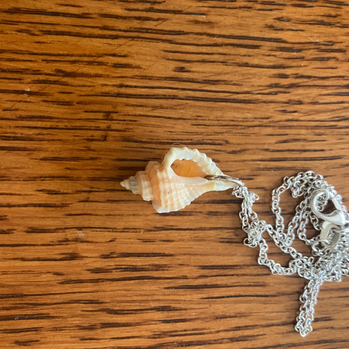 Handcrafted Sea Shell Pendant Necklace | Mermaid Jewelry | 1/2in x 7/8in