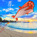 IMAGE 3D Kite Orange Dolphin with Huge Frameless Soft Parafoil for Kids