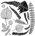 IOD Fronds Decor Stamp - Iron Orchid Designs
