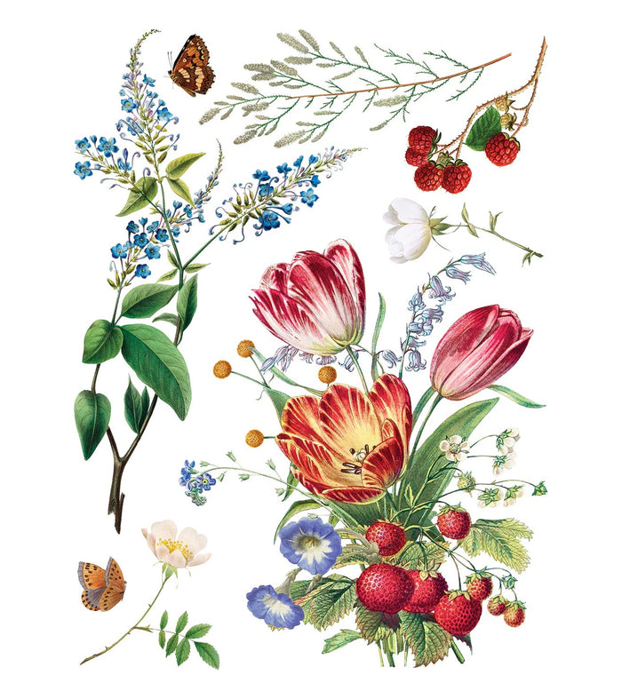 IOD Marche Des Fleurs Decor Transfer by Iron Orchid Designs - 8 Sheets
