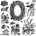 IOD Nature's Etchings Decor Stamp by Iron Orchid Designs - Summer 2026