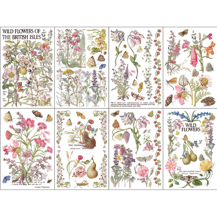 IOD Primrose Isle Decor Transfer by Iron Orchid Designs - Summer 2026