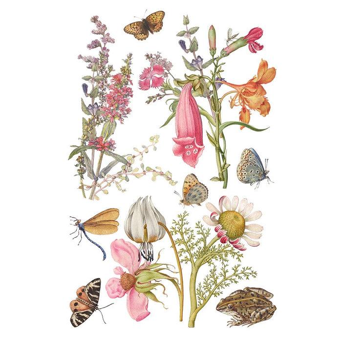 IOD Primrose Isle Decor Transfer by Iron Orchid Designs - Summer 2026
