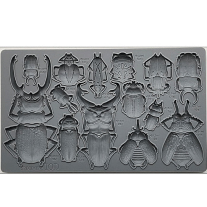 IOD Specimens Decor Mould by Iron Orchid Designs - 6x10 Silicone Mold