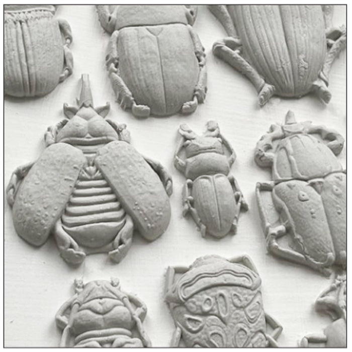 IOD Specimens Decor Mould by Iron Orchid Designs - 6x10 Silicone Mold
