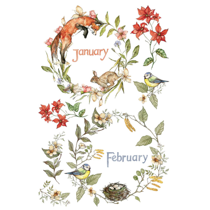 IOD The Bramblewood Diaries Decor Transfer by Iron Orchid Designs