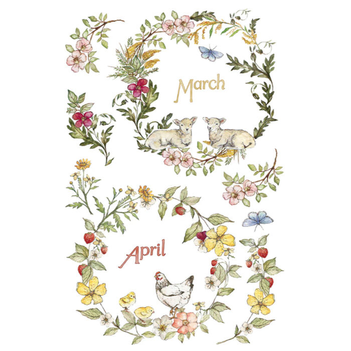 IOD The Bramblewood Diaries Decor Transfer by Iron Orchid Designs