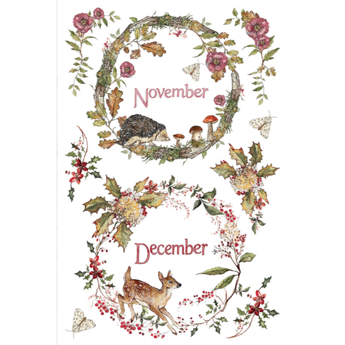 IOD The Bramblewood Diaries Decor Transfer by Iron Orchid Designs