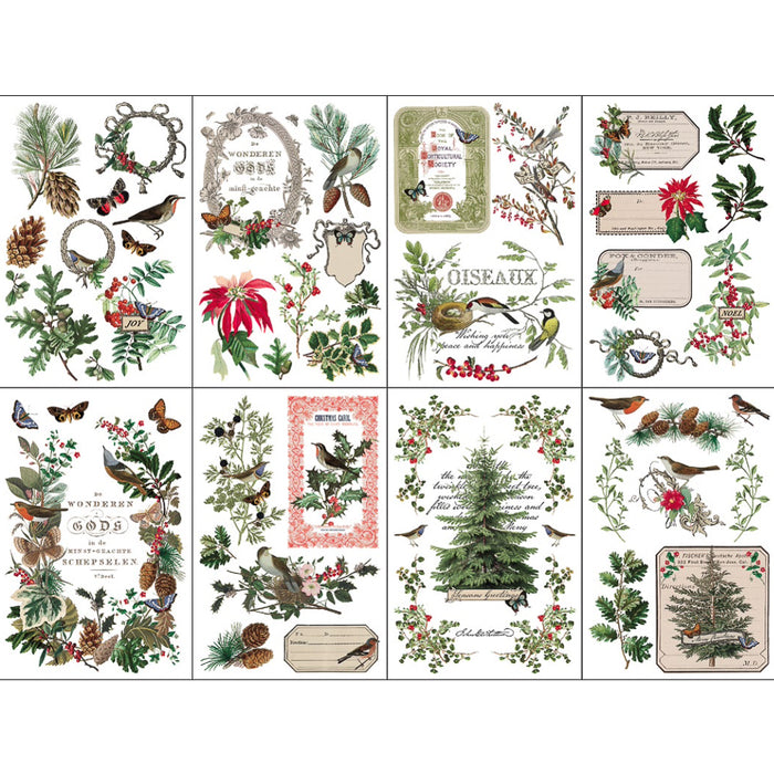 IOD Winter Botanist Transfer by Iron Orchid Designs - 8 Sheet Set