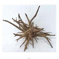 Aquarium Driftwood Large (18-24") Jangle Wood - ALA