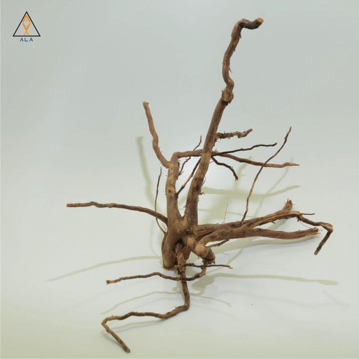 Aquarium Wood Kakado Wood - ALA