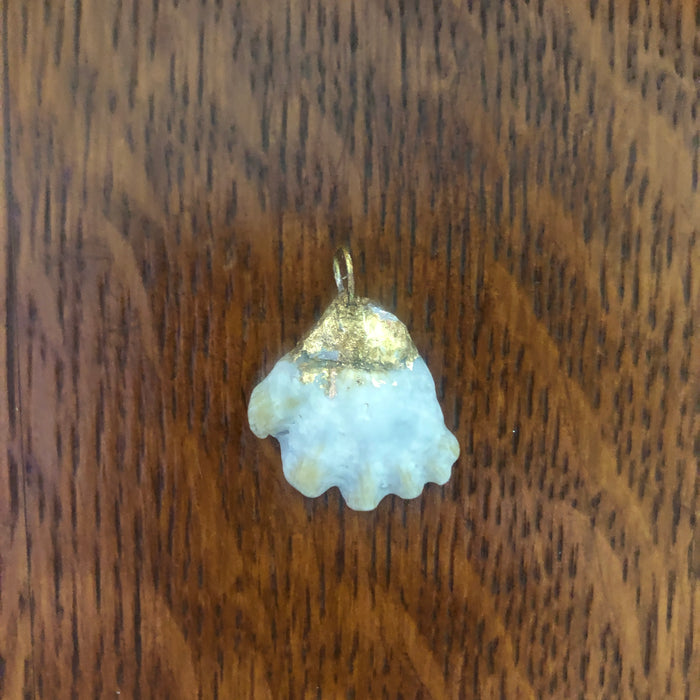 Kitten's Paw Artisan Made Pendant Handcrafted Sea Shell Necklace 1 in x 1 in