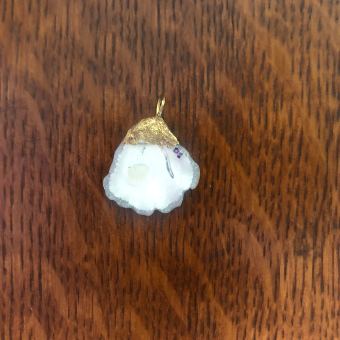 Kitten's Paw Artisan Made Pendant Handcrafted Sea Shell Necklace 1 in x 1 in