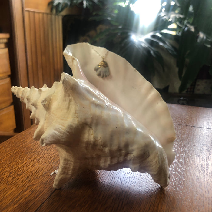 Kitten's Paw Artisan Made Pendant Handcrafted Sea Shell Necklace 1 in x 1 in