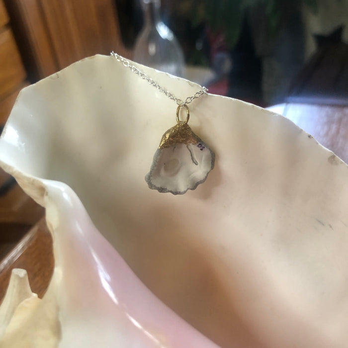 Kitten's Paw Artisan Made Pendant Handcrafted Sea Shell Necklace 1 in x 1 in