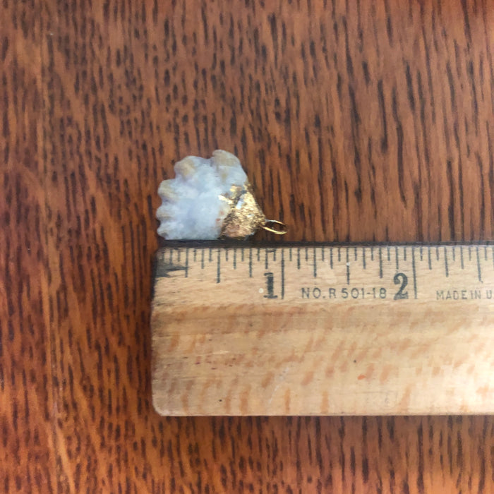Kitten's Paw Artisan Made Pendant Handcrafted Sea Shell Necklace 1 in x 1 in