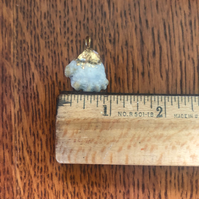 Kitten's Paw Artisan Made Pendant Handcrafted Sea Shell Necklace 1 in x 1 in