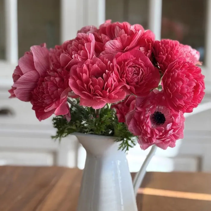 Levante Rosa