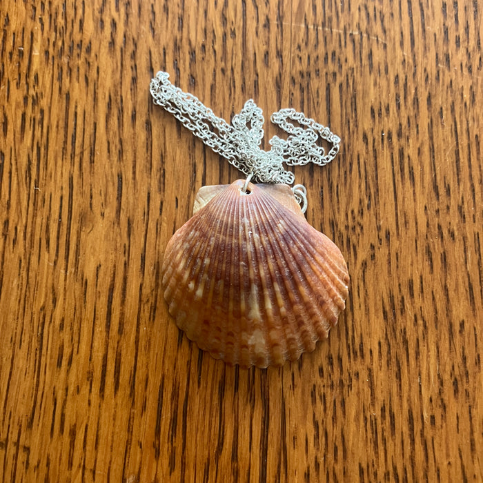 Lion's Paw Scallop Artisan Made Pendant Handcrafted Sea Shell Necklace 1 3/8in x 1 3/8in Mermaid Jewelry