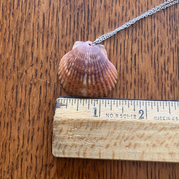 Lion's Paw Scallop Artisan Made Pendant Handcrafted Sea Shell Necklace 1 3/8in x 1 3/8in Mermaid Jewelry